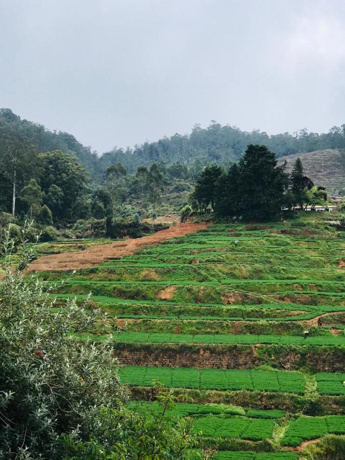 Mountain View Cottage Ooty Exterior foto